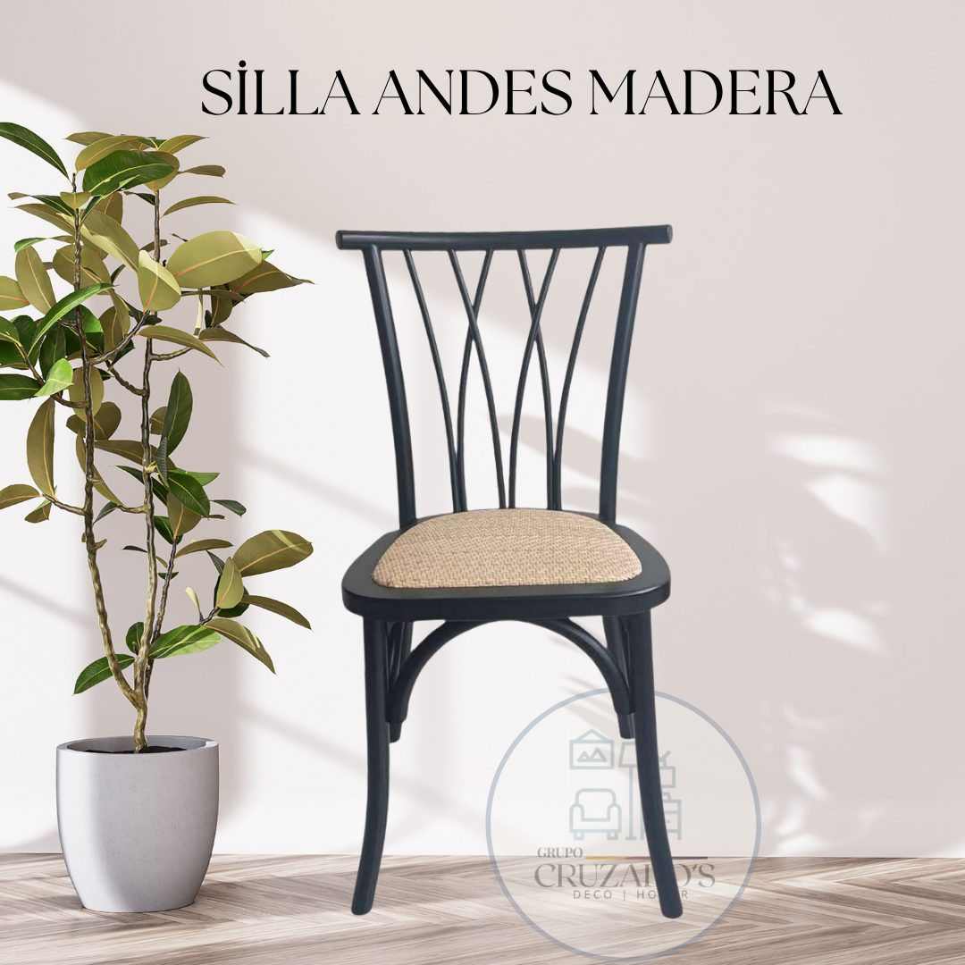 Silla Andes