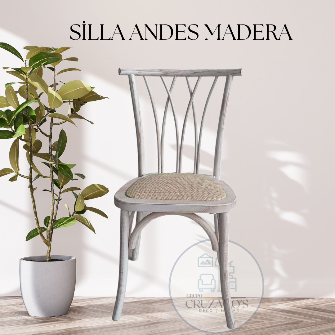 Silla Andes