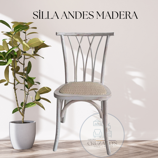 Silla Andes