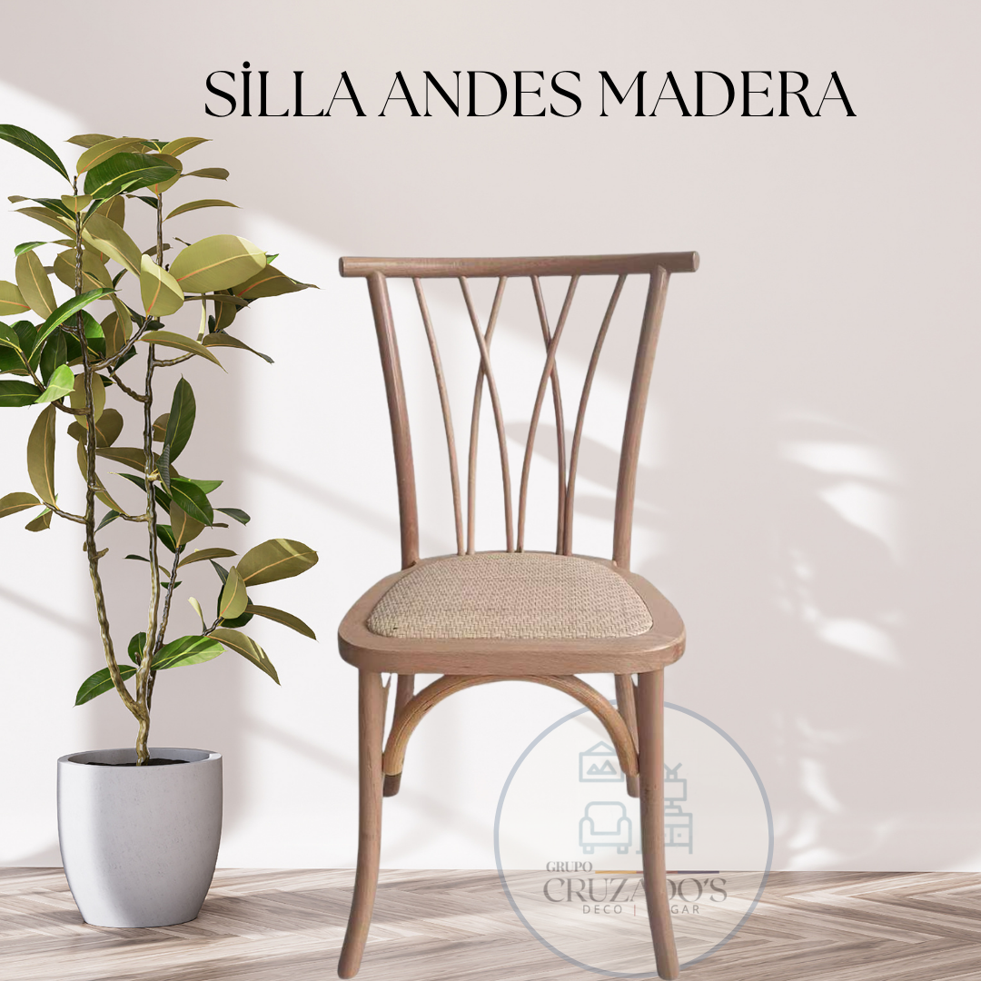 Silla Andes